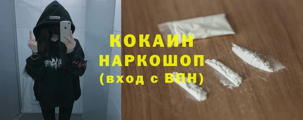 mix Богородицк