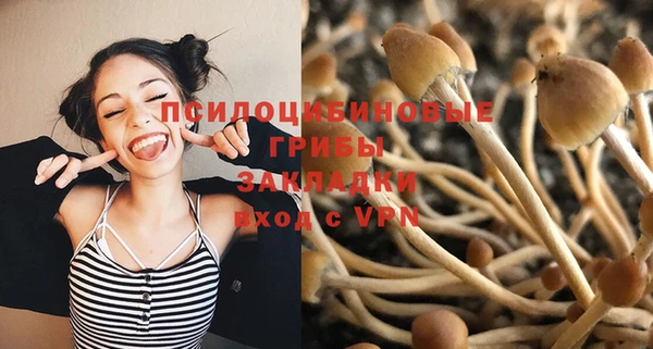 mix Богородицк